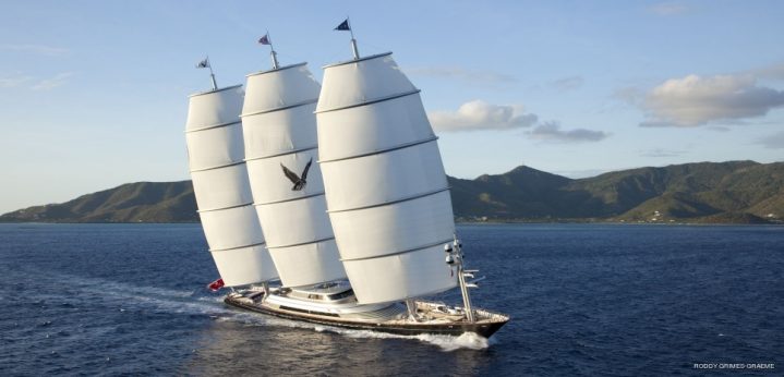 Photo of Maltese Falcon