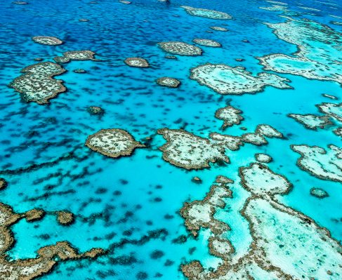 Photo of Great Barrier Reef